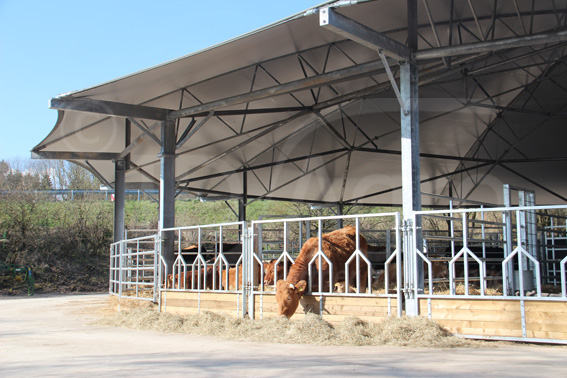 Roundhouse a Volcan Eifel