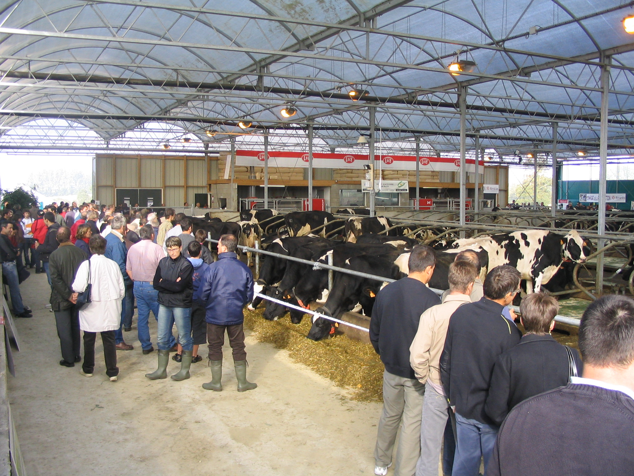 Prima Cow Lounge in Francia