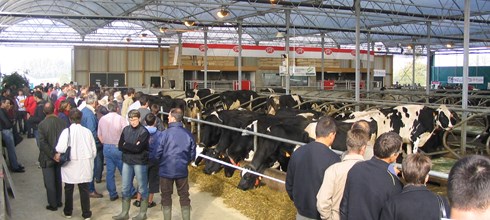 Prima Cow Lounge in Francia